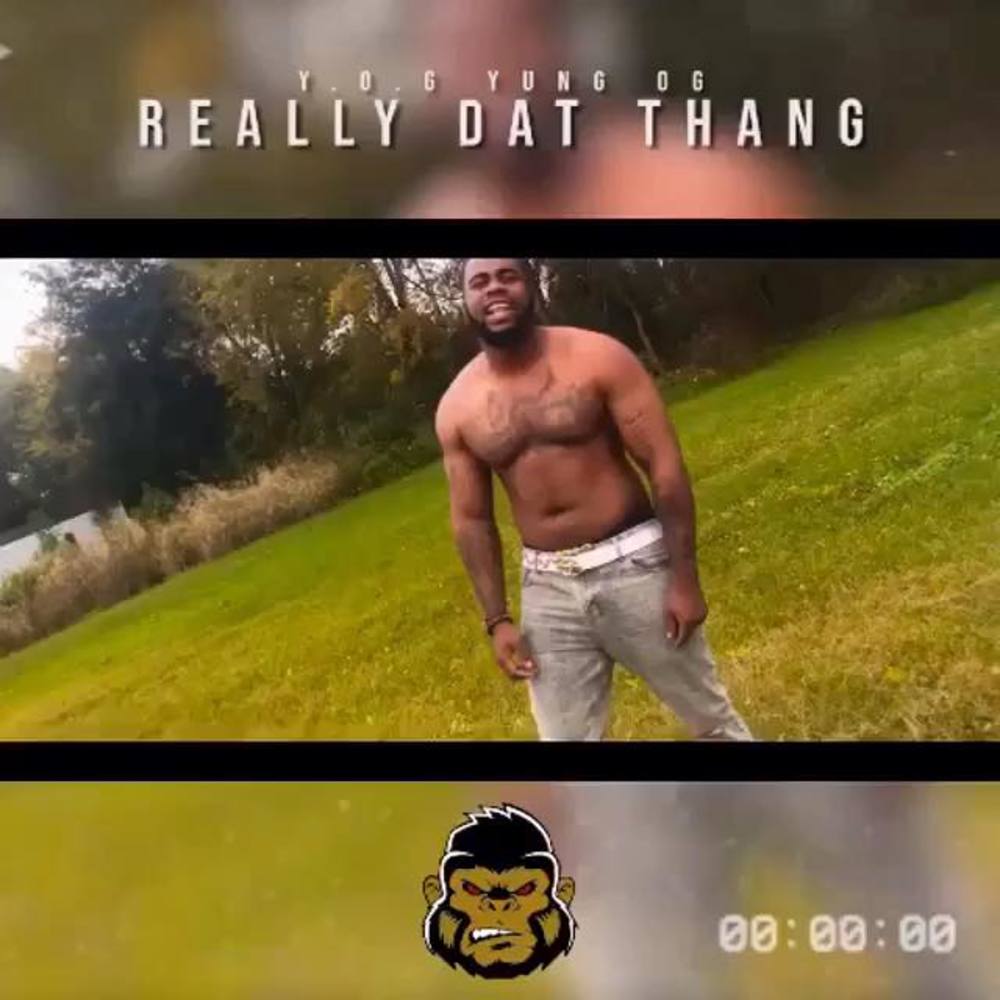 Meet your Posher, Fred